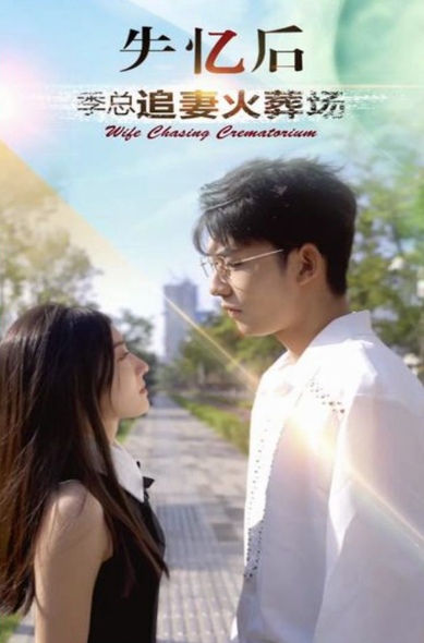 失忆后 季总追妻火葬场海报