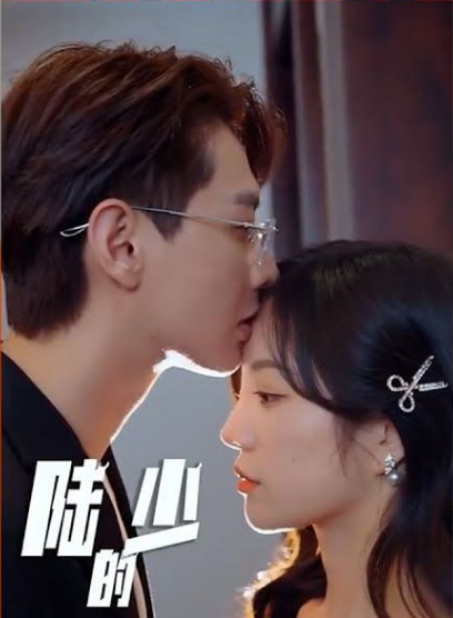 陆少的隐婚罪妻海报