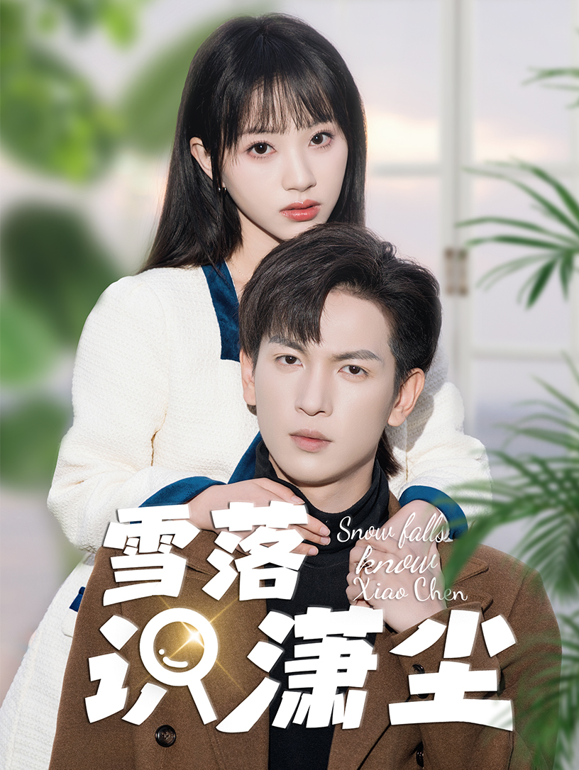 雪落识潇尘海报