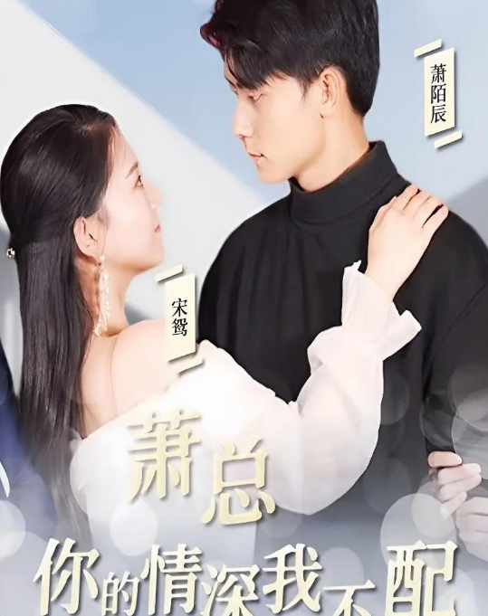 萧总，你的情深我不配海报