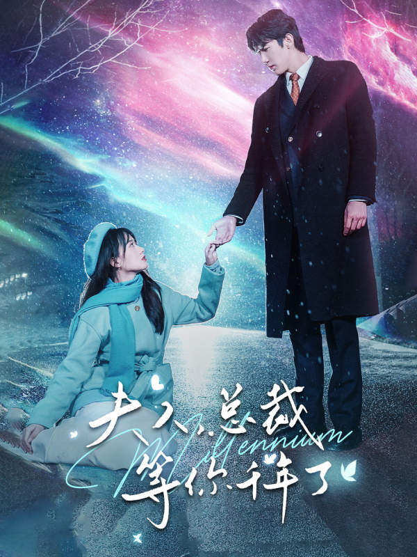 夫人，总裁等你千年了海报