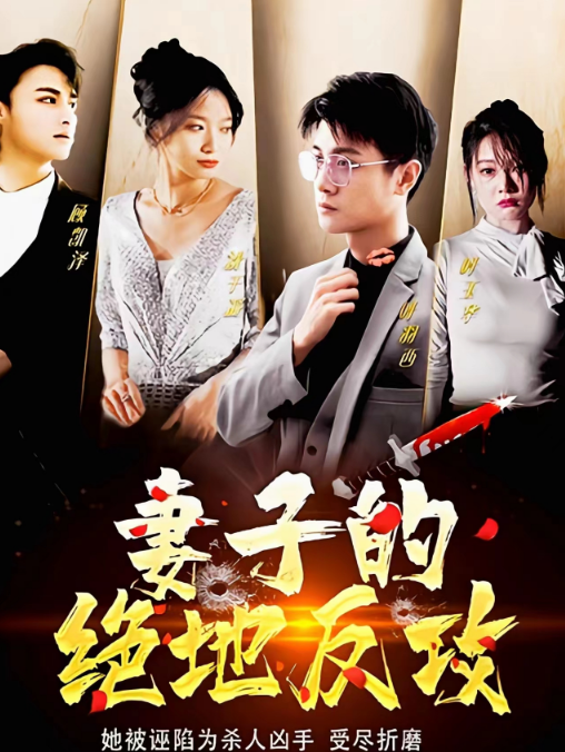 妻子的绝地反攻海报