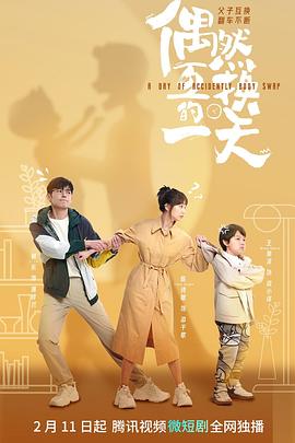 偶然互换的一天海报