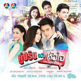 对手的心国语海报