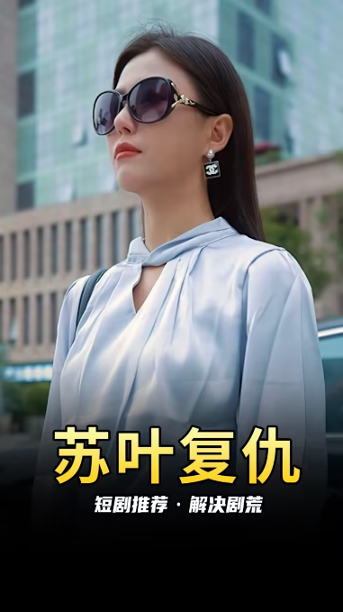 苏叶的复仇海报