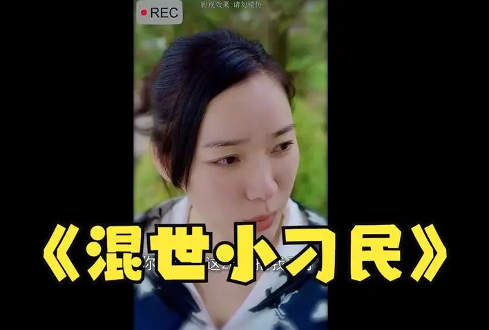 混世小刁民海报