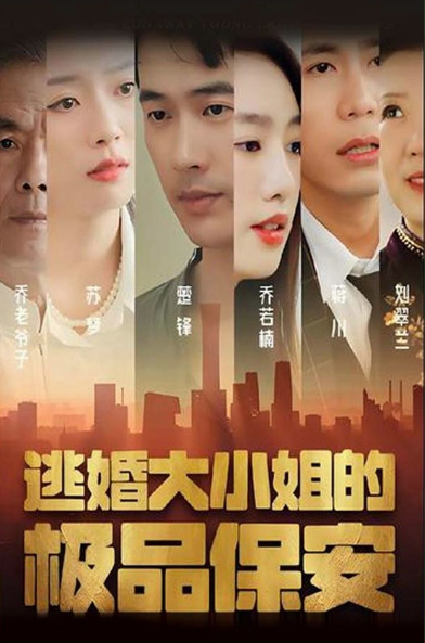 逃婚大小姐的极品保安海报