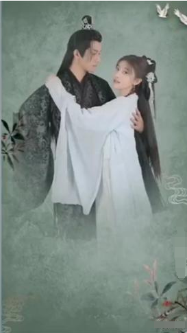 凤还巢：冷王盛宠法医妃海报