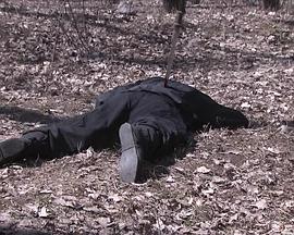 大明嫔妃之逐鹿海报