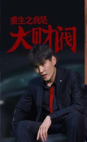 重生之我是大财阀海报