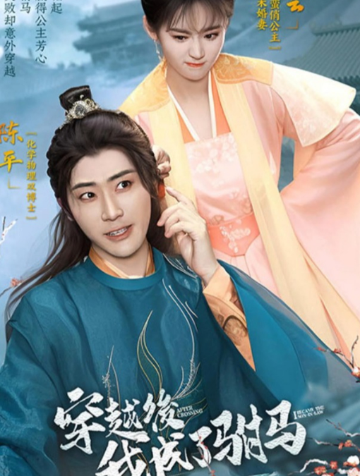 穿越后，我成了驸马海报