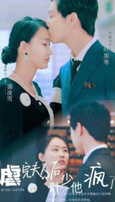 虐完夫人后叶少他疯了海报