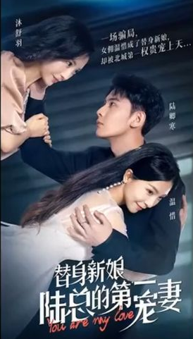 替身新娘:陆总的第一宠妻海报