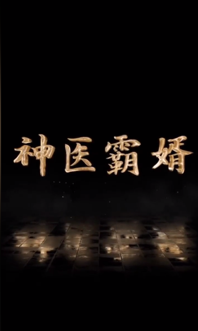 神医霸婿海报