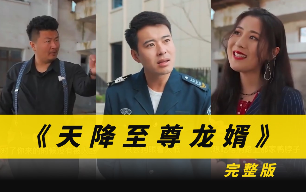 天降至尊龙婿海报