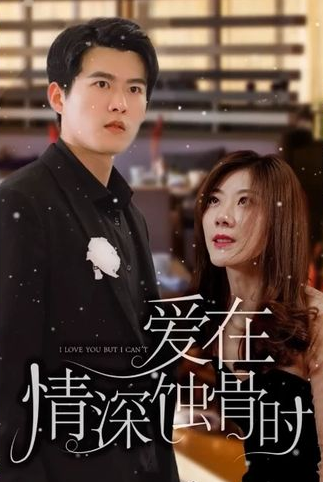 爱在情深蚀骨时海报