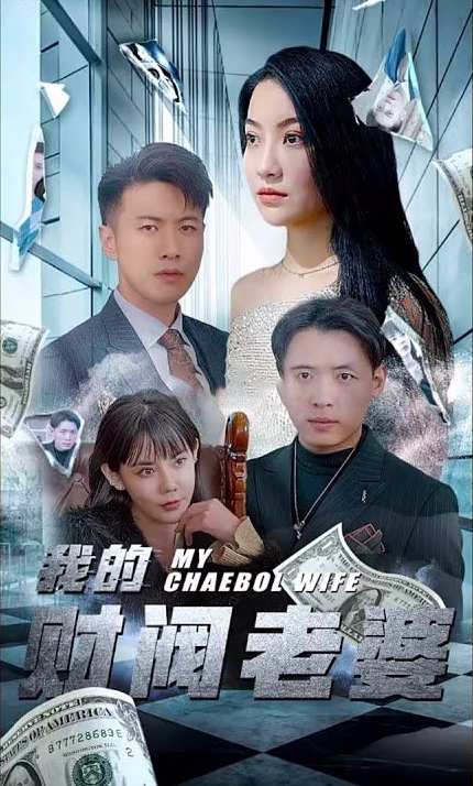 我的财阀老婆海报