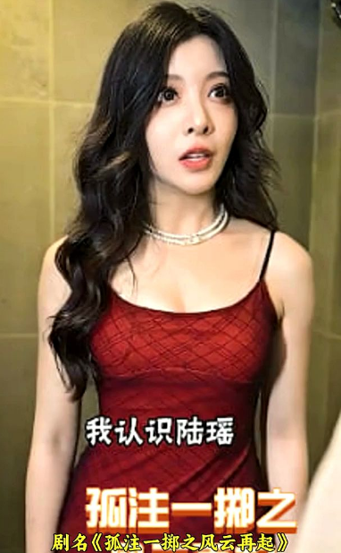 孤注一掷之风云再起海报