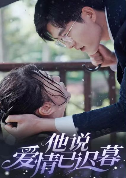 他说爱情已迟暮海报