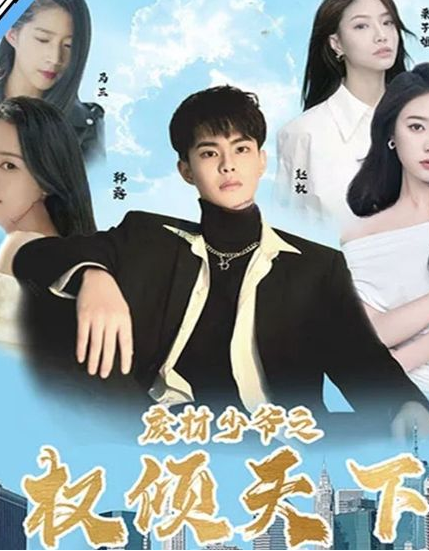 废材少爷之权倾天下海报