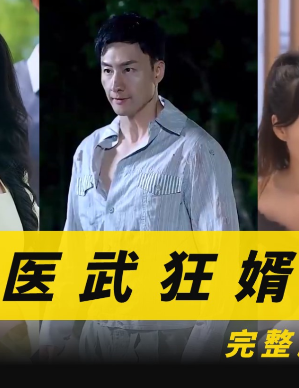 医武狂婿海报