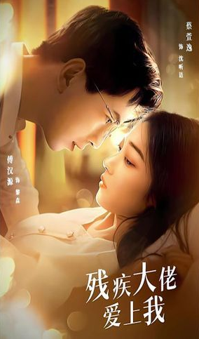残疾大佬爱上我海报