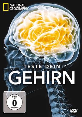 脑力大挑战海报