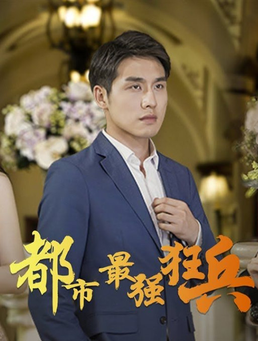 都市之最强狂兵海报