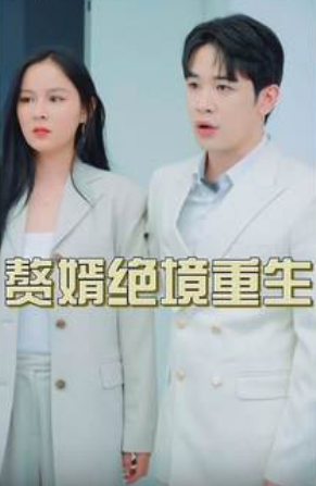 赘婿绝境重生海报