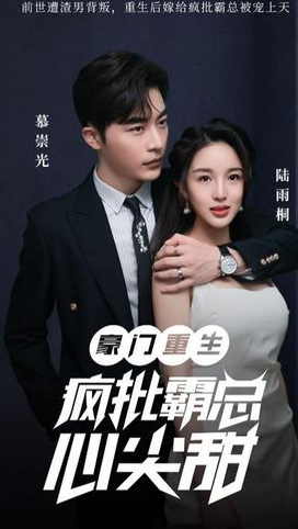 豪门重生：疯批霸总心尖甜海报