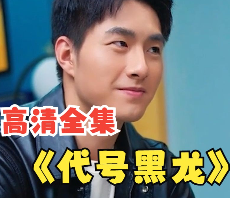 代号黑龙海报