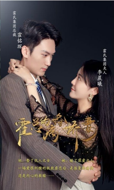 霍总的病婚娇妻海报