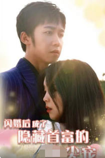 闪婚后成了隐藏首富的心尖宠海报