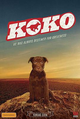 Koko:红犬历险记海报