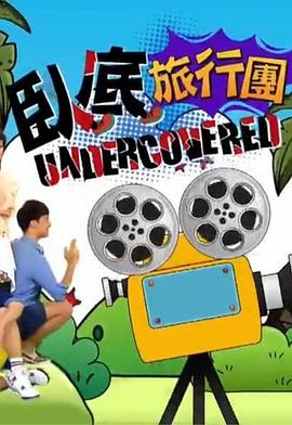 卧底旅行团粤语海报