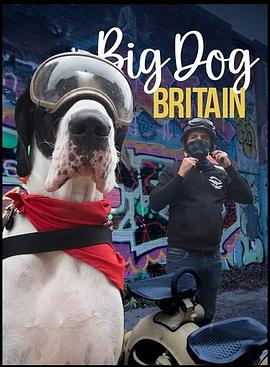 英伦巨犬粤语海报