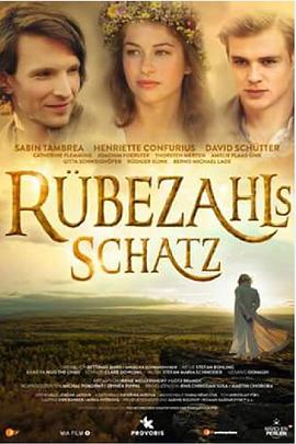 山神的宝藏海报