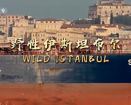 野性伊斯坦布尔粤语海报