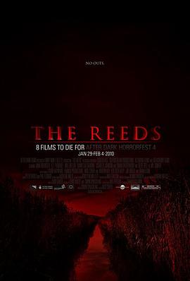 芦苇地海报