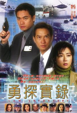 勇探实录国语海报