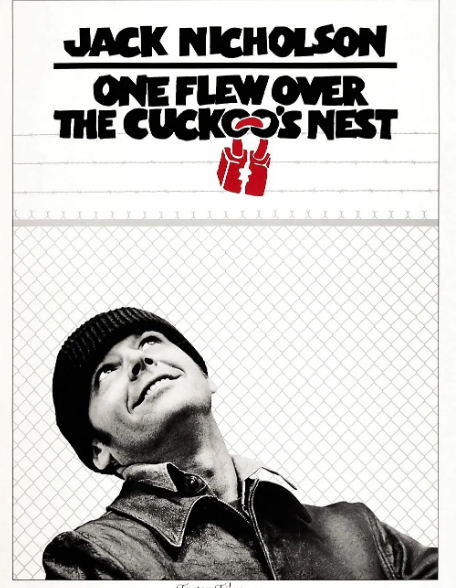 飞越网戒所海报