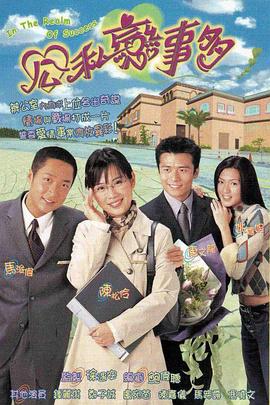 公私恋事多国语海报