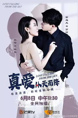 真爱从天而降第一季海报