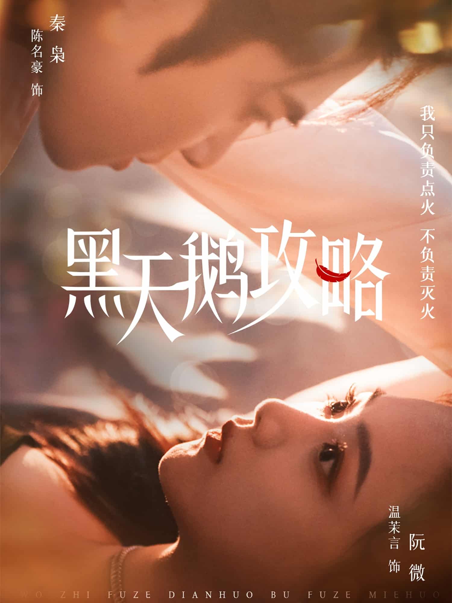 黑天鹅攻略海报