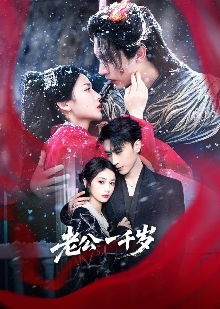 老公一千岁海报