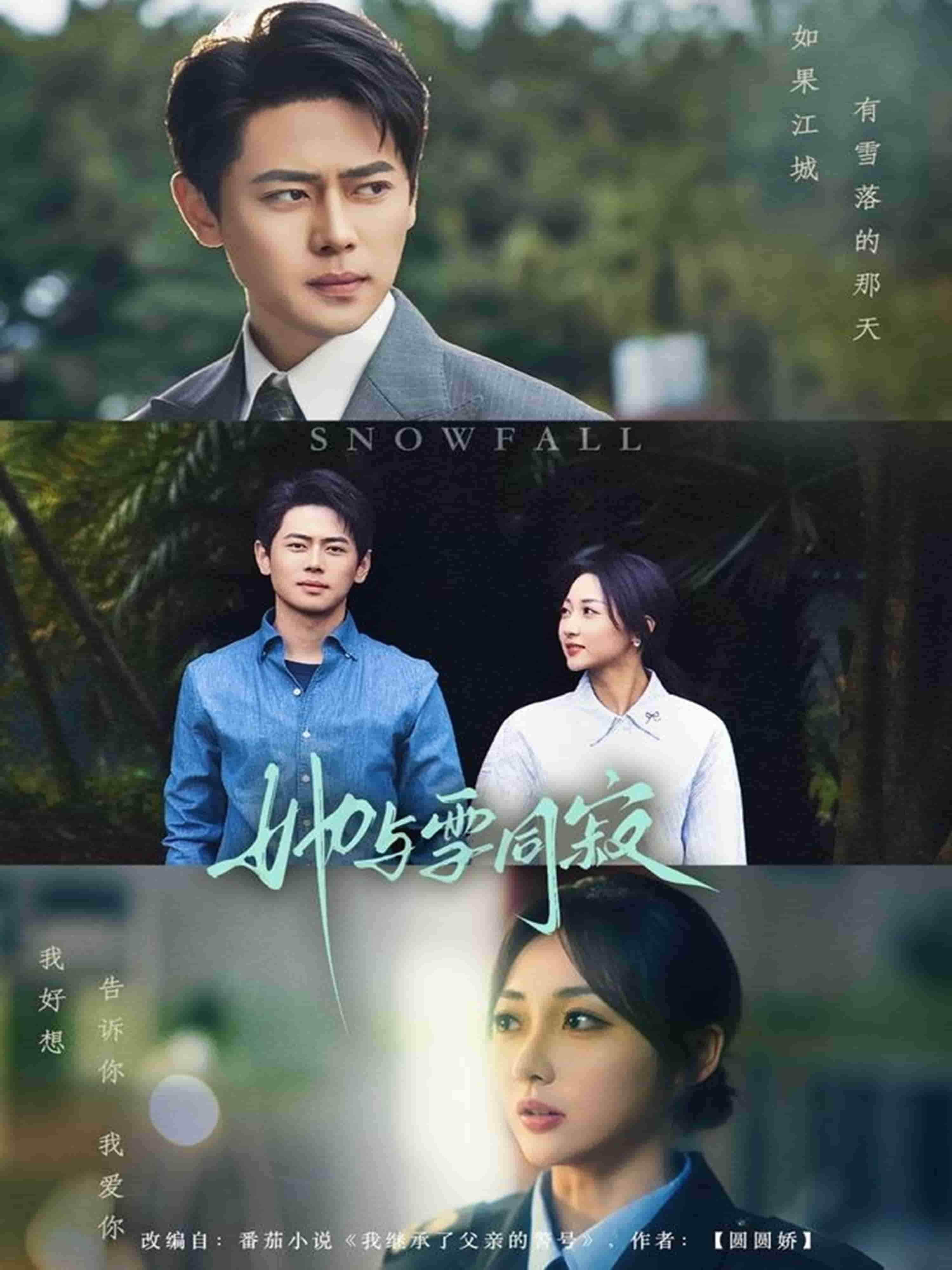 她与雪同寂海报