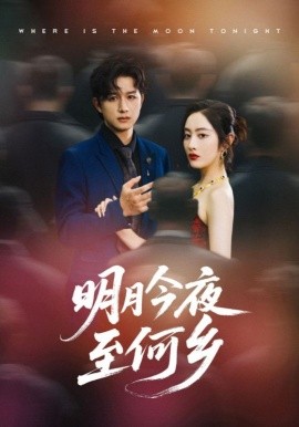 明月今夜至何乡海报