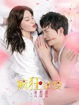 疯狂试爱之勇敢爱海报