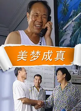 美梦成真2009海报