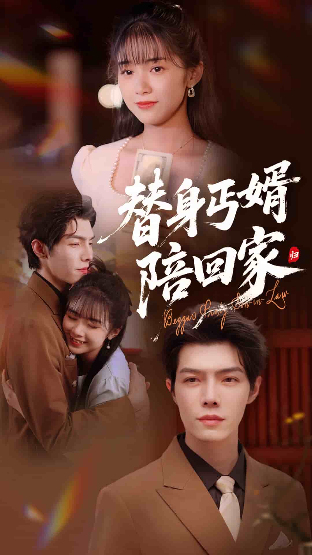 替身丐婿陪回家海报